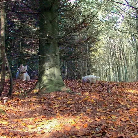 6 Person In Toftlund-by Traum Casa de Férias